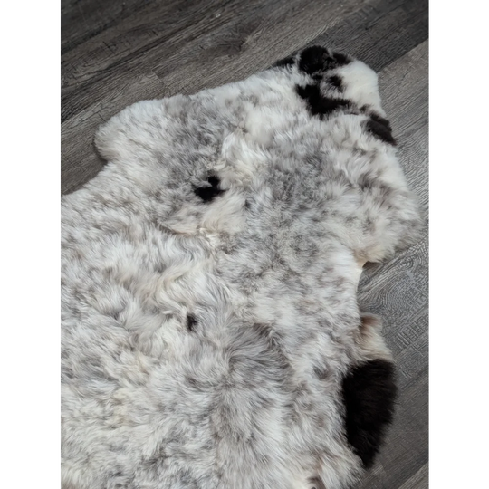 A plush large soft spotted icelandic sheepskin rug in white and black with medium spotted icelandic short wool