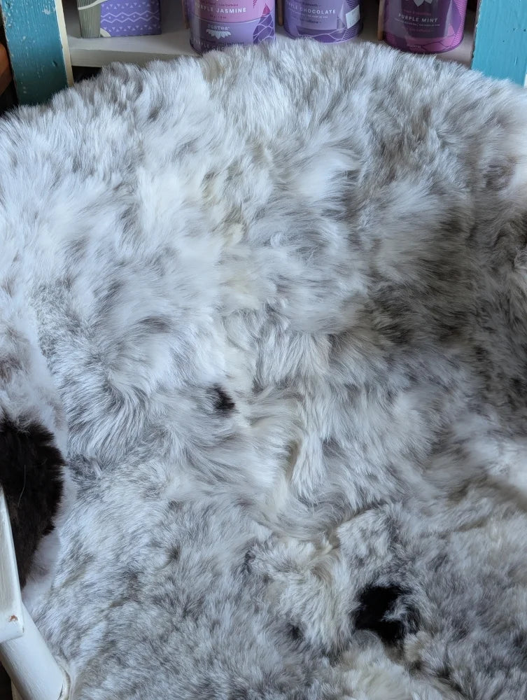 A plush large soft medium spotted icelandic sheepskin rug in gray and white with a fluffy textured surface