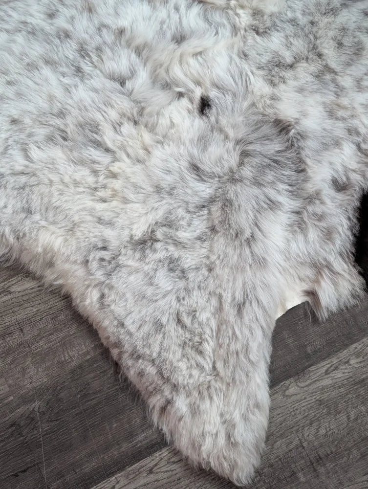 A plush gray and white large soft spotted icelandic sheepskin rug made of short wool with a fluffy texture