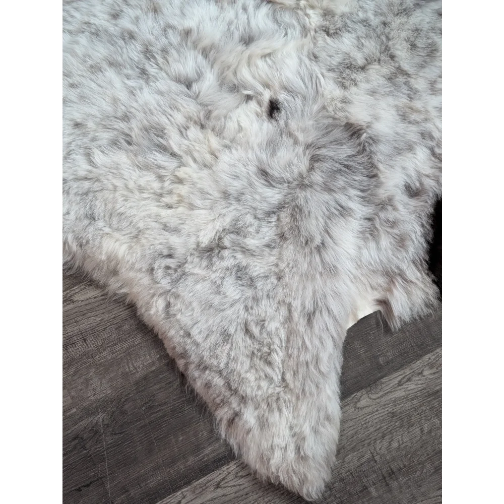 A plush gray and white large soft spotted icelandic sheepskin rug made of short wool with a fluffy texture