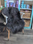 A plush dark gray icelandic sheepskin rug with long wool draped over a white wooden chair with light wood legs