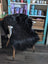 Black thick-furred long wool icelandic sheepskin chair cover draped over white wooden chair with metal legs
