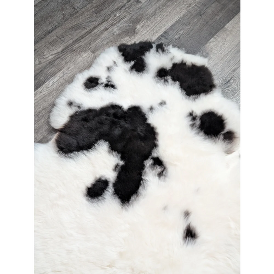 A plush black and white spotted icelandic sheepskin rug with soft fluffy texture in 43 by 31 inches size