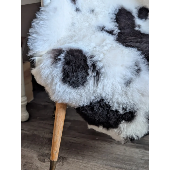 A plush spotted icelandic sheepskin rug in black and white draped over a wooden chair leg medium spotted icelandic