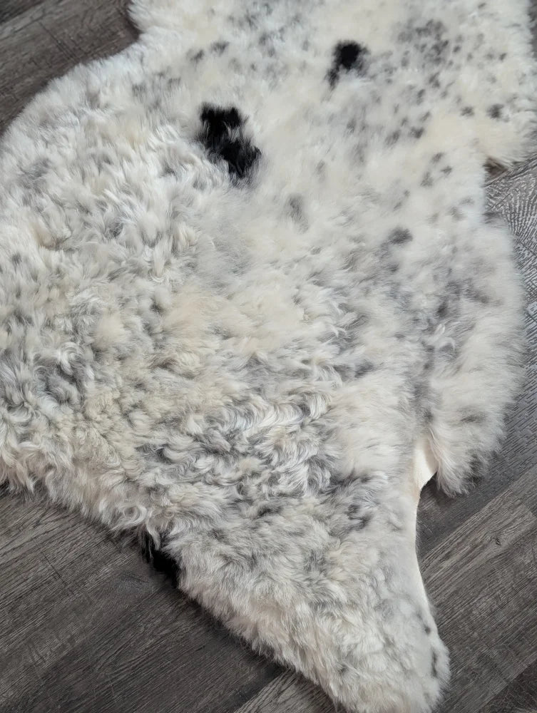 Luv5 large 44 x 27 plush spotted icelandic sheepskin rug with soft white wool and medium black spots