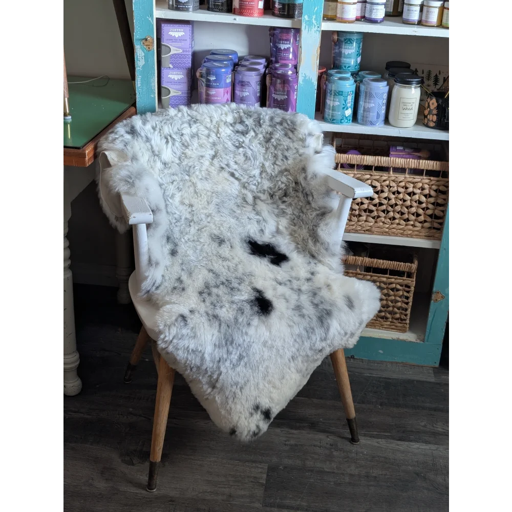 A plush white and black medium spotted icelandic sheepskin rug draped over a vintage wooden chair