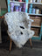 A plush white and black medium spotted icelandic sheepskin rug draped over a vintage wooden chair