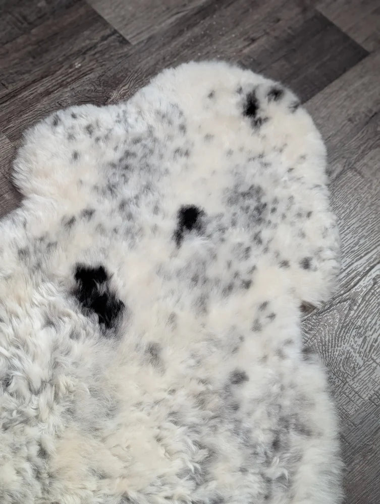 Large spotted icelandic sheepskin rug with creamy white base and black spots made of soft short wool