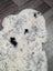 Large spotted icelandic sheepskin rug with creamy white base and black spots made of soft short wool