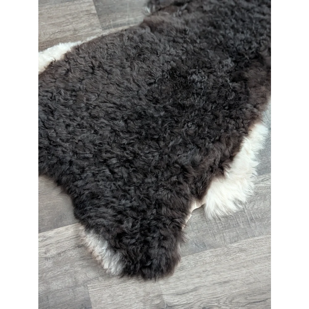 A large soft blacky icelandic sheepskin rug with medium spotted icelandic curly wool and natural edges