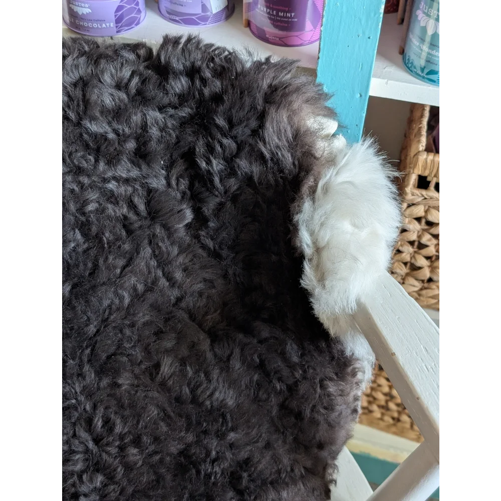 A fluffy black and white dog resting on a chair on a large soft blacky icelandic sheepskin rug with curly wool