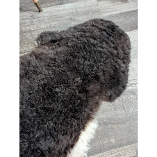 A plush dark gray large icelandic sheepskin rug with white edge made of soft short wool on wooden floor
