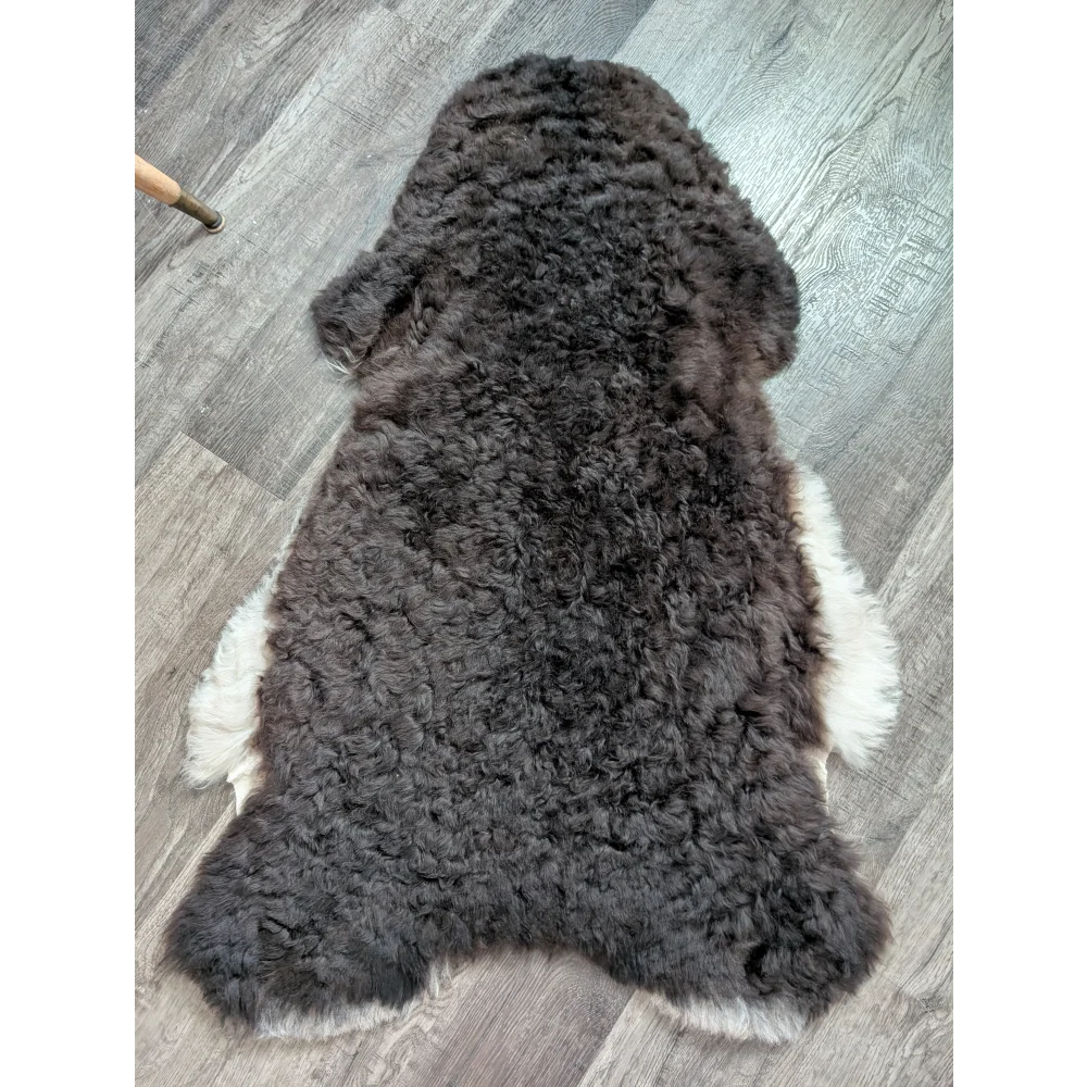 A plush dark gray and white medium spotted icelandic sheepskin rug with curly wool and natural irregular edges
