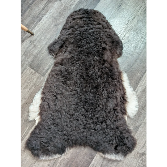 A plush dark gray and white medium spotted icelandic sheepskin rug with curly wool and natural irregular edges