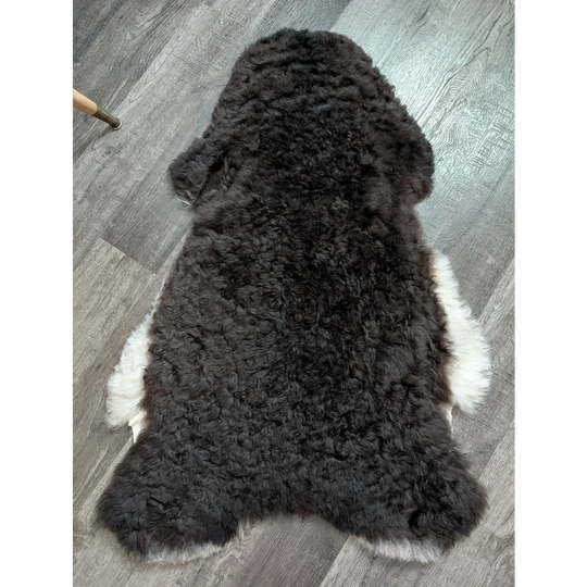 A plush dark gray and white large soft blacky icelandic sheepskin rug with a curly texture medium spotted icelandic