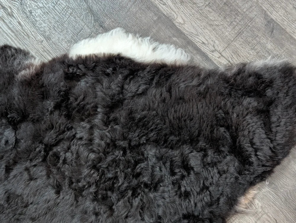 Large luv7 black icy icelandic sheepskin rug with short wool and white fluffy edge for cozy decor