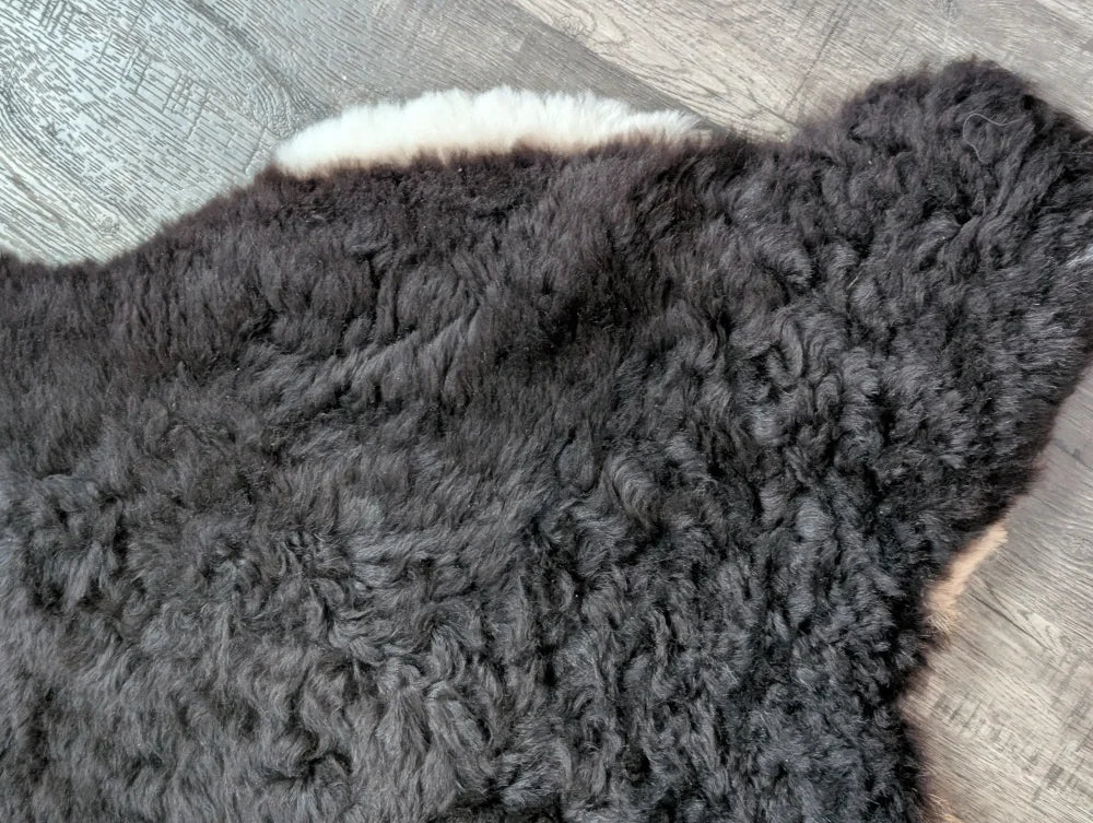 Large soft blacky icelandic sheepskin rug with short wool and white underfur edge perfect cozy home decor