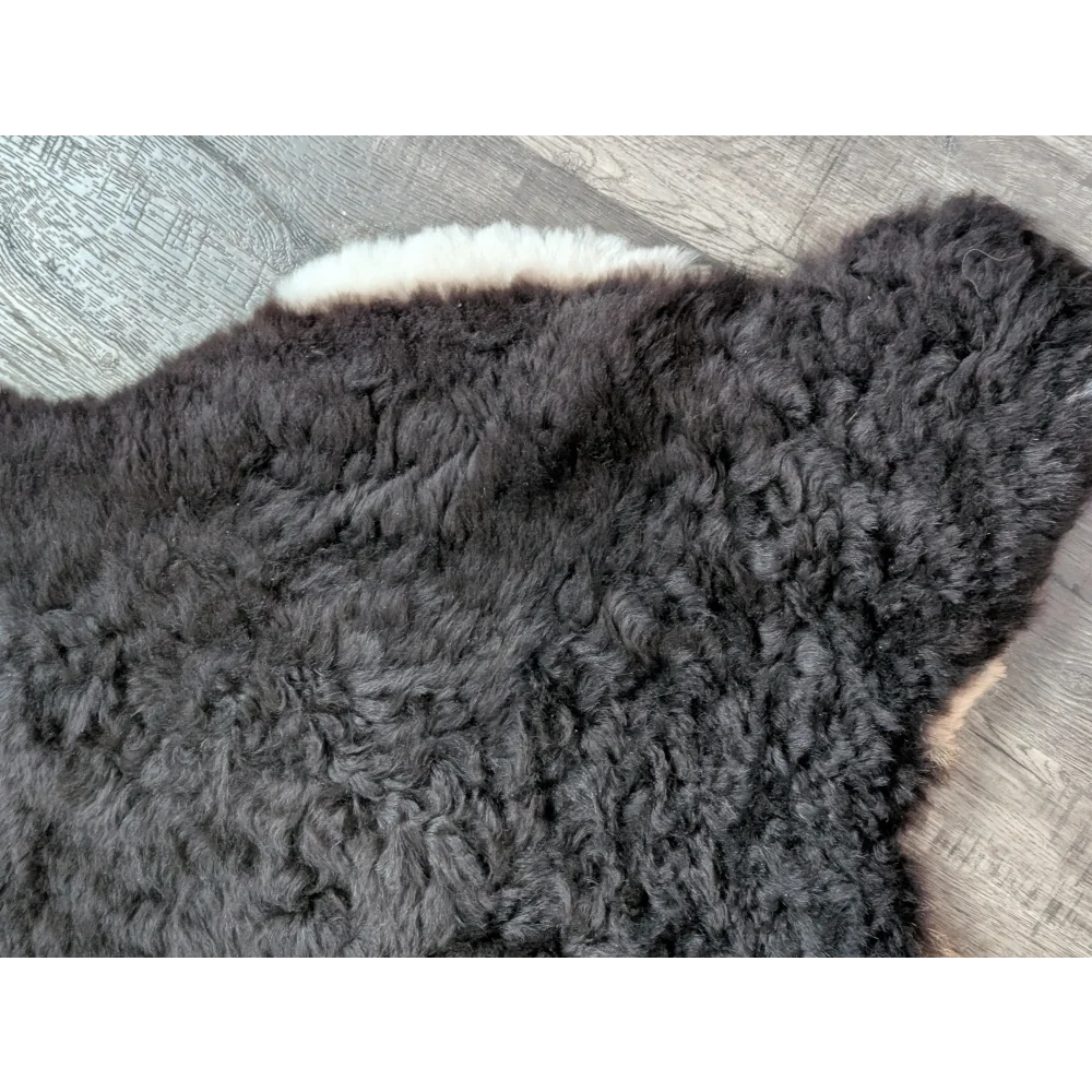 Large soft blacky icelandic sheepskin rug with short wool and white underfur edge perfect cozy home decor