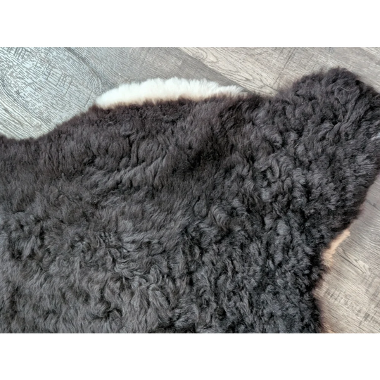 Large soft blacky icelandic sheepskin rug with short wool and white underfur edge perfect cozy home decor