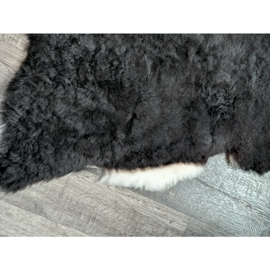 Black curly fur rug with white underbelly featuring soft short wool icelandic sheepskin 43 by 29 inches large