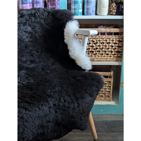 Black sheepskin chair cover with white fluffy trim made of soft icelandic short wool icelandic sheepskin