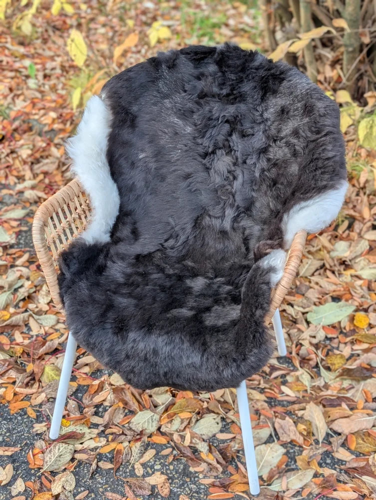 Luv40 black and white wool icelandic sheepskin with fluffy texture and dark edges draped over a wicker chair