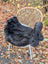 Black faux fur chair cover draped over woven wicker chair with white legs featuring wool icelandic sheepskin dark edges