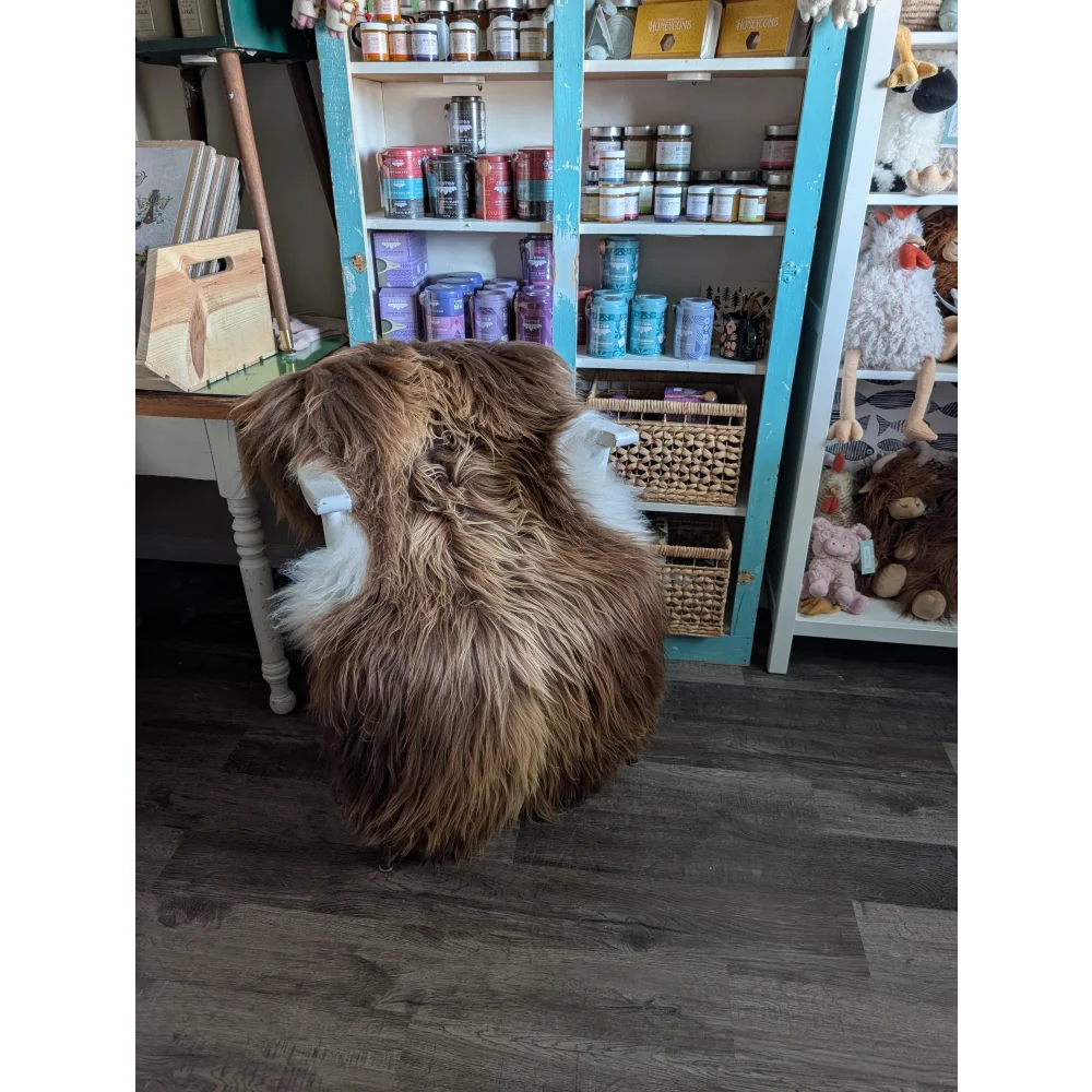 A plush brown and white icelandic sheepskin chair with cozy long wool icelandic faux fur surface in bronze color
