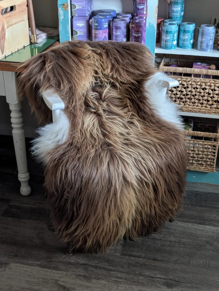 A plush long wool icelandic sheepskin chair in brown and white with cozy texture and massive 59 x 33 inch size
