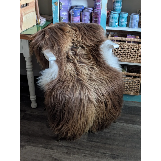 A plush long wool icelandic sheepskin chair in brown and white with cozy texture and massive 59 x 33 inch size
