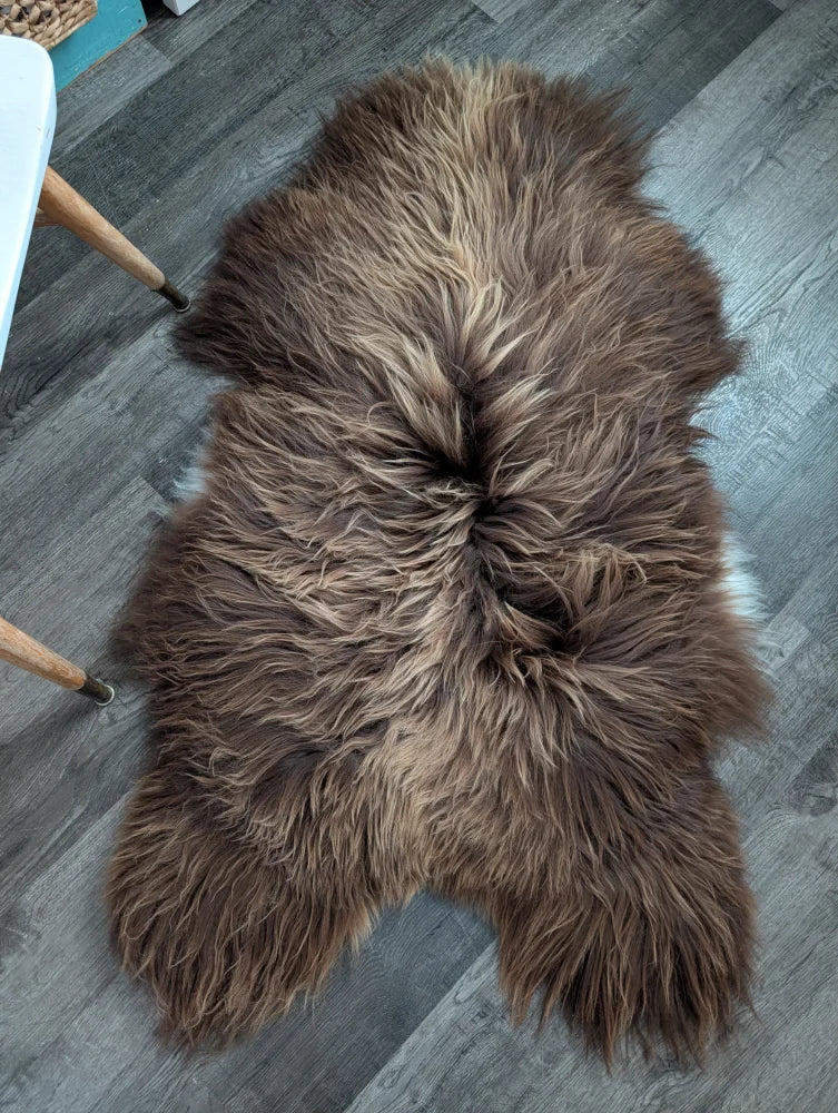 A plush bronze icelandic sheepskin rug 55 x 33 with long wool icelandic texture and natural brown shades