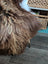 A plush shaggy brown and cream faux wool icelandic sheepskin throw blanket with soft long wool icelandic texture