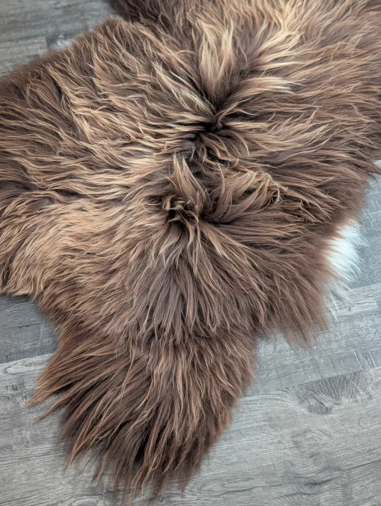 A plush 55 x 33 inch long wool icelandic sheepskin rug in bronze with soft shaggy fur and tan highlights