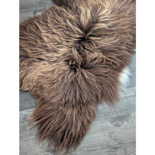 A plush 55 x 33 inch long wool icelandic sheepskin rug in bronze with soft shaggy fur and tan highlights