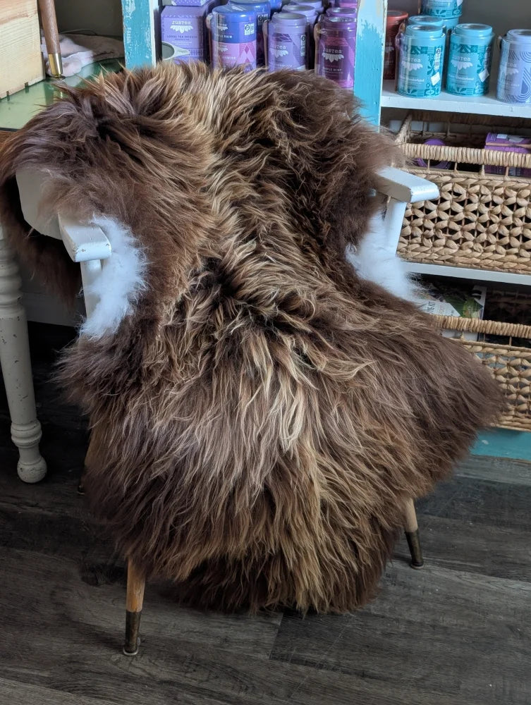 A plush long wool icelandic sheepskin rug in bronze draped over a white wooden chair for cozy decor