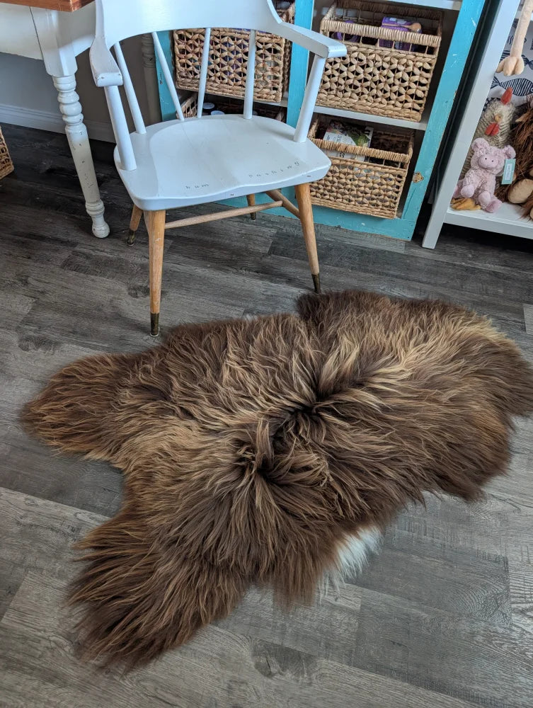A plush brown massive icelandic sheepskin rug with long wool icelandic texture in bronze shade 55 x 33 inches