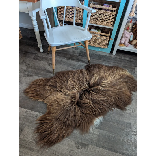 A plush brown massive icelandic sheepskin rug with long wool icelandic texture in bronze shade 55 x 33 inches