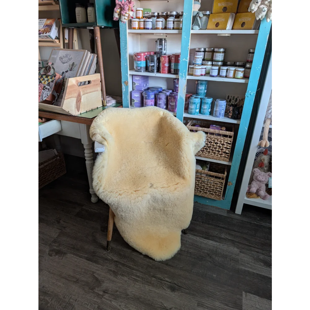 Cream-colored medical sheepskin chair cover draped over wooden chair by angus oliver for cozy comfort