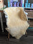 Cream-colored extra large washable medical sheepskin rug by angus oliver draped over a chair
