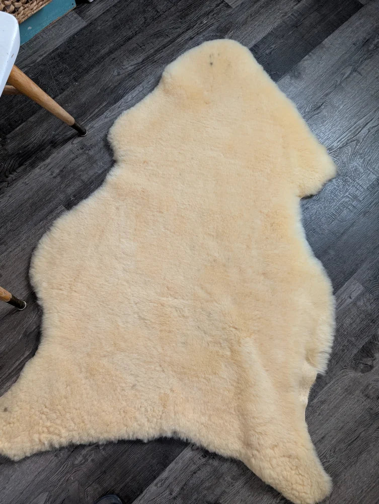 Cream-colored angus oliver massive washable medical sheepskin rug with soft fluffy texture and natural edges