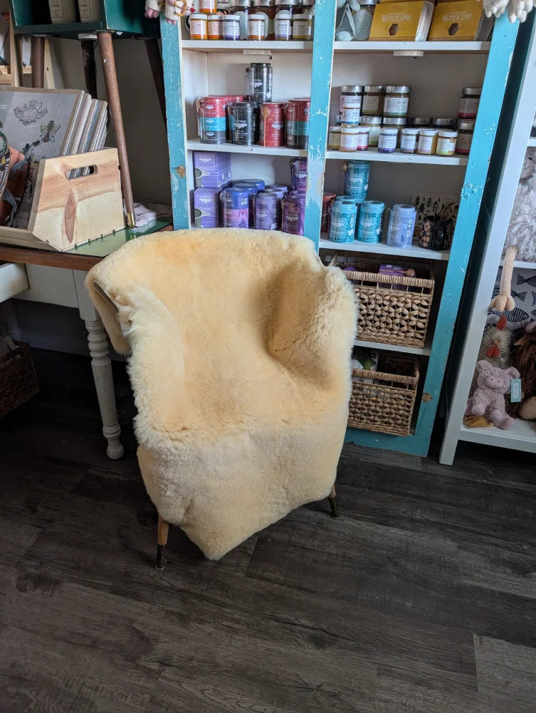 Cream-colored extra large angus oliver armchair covered in washable medical sheepskin with wooden legs