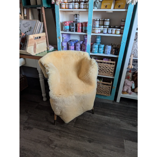 Cream-colored extra large angus oliver armchair covered in washable medical sheepskin with wooden legs