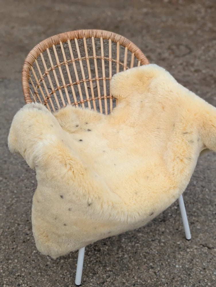 Cream-colored extra large washable medical sheepskin chair cover with soft fluffy texture and naturally spotted pattern