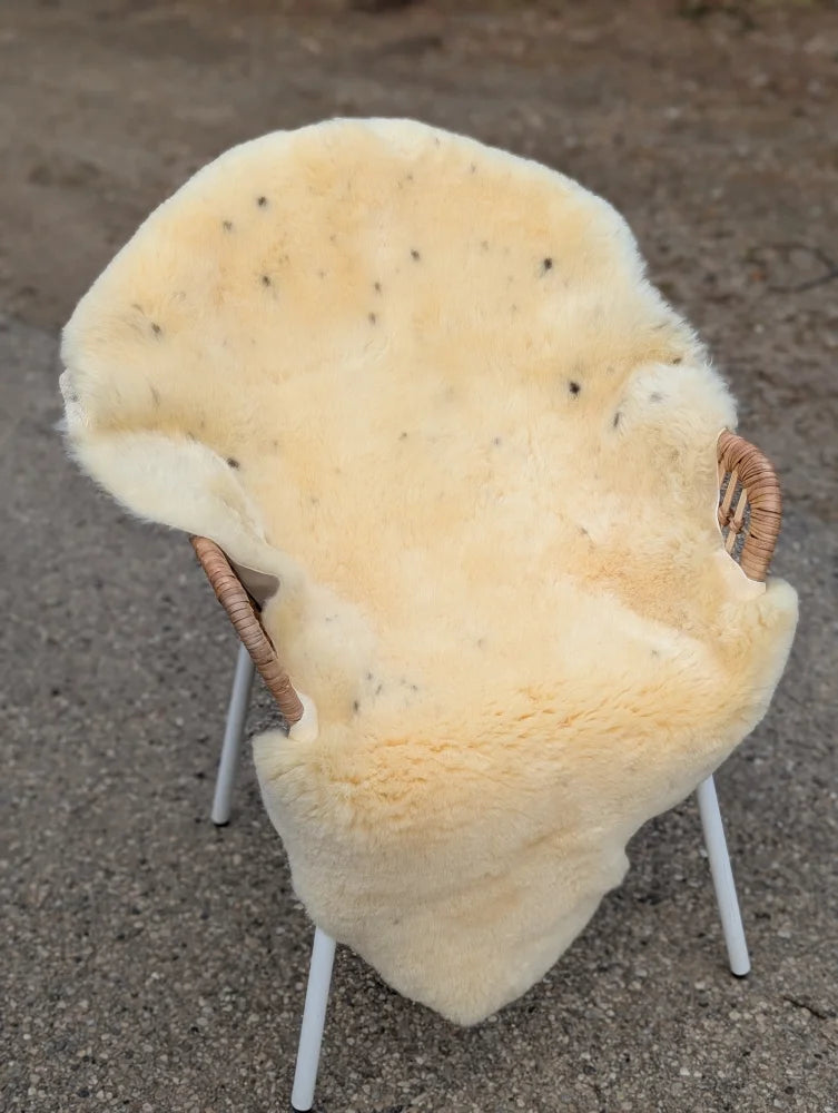 Cream-colored medical sheepskin chair cover with dark naturally spotted speckles draped over wicker frame