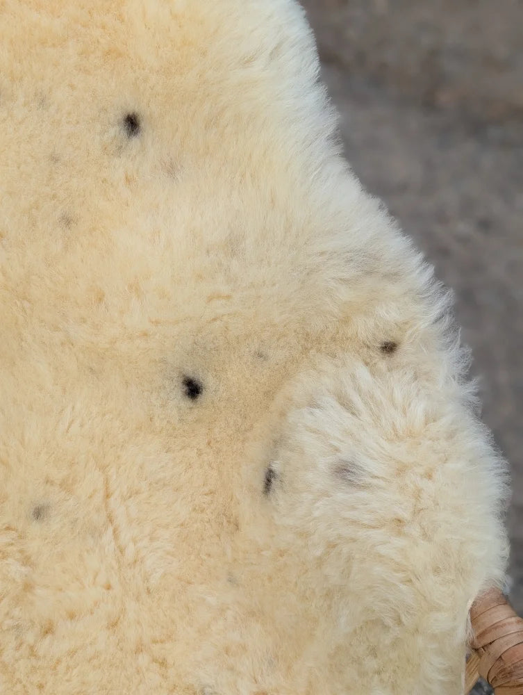 Cream-colored fluffy naturally spotted medical sheepskin 49 by 32 extra large washable for medical use