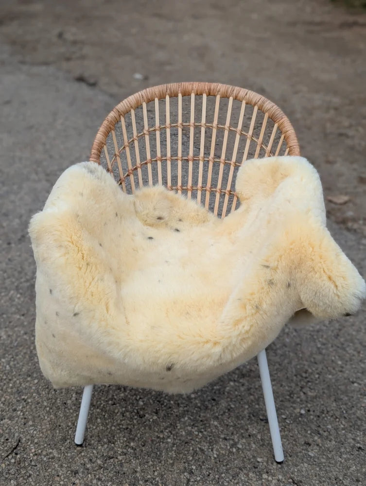 Cream-colored extra large medical sheepskin blanket naturally spotted draped over a woven rattan chair with white legs
