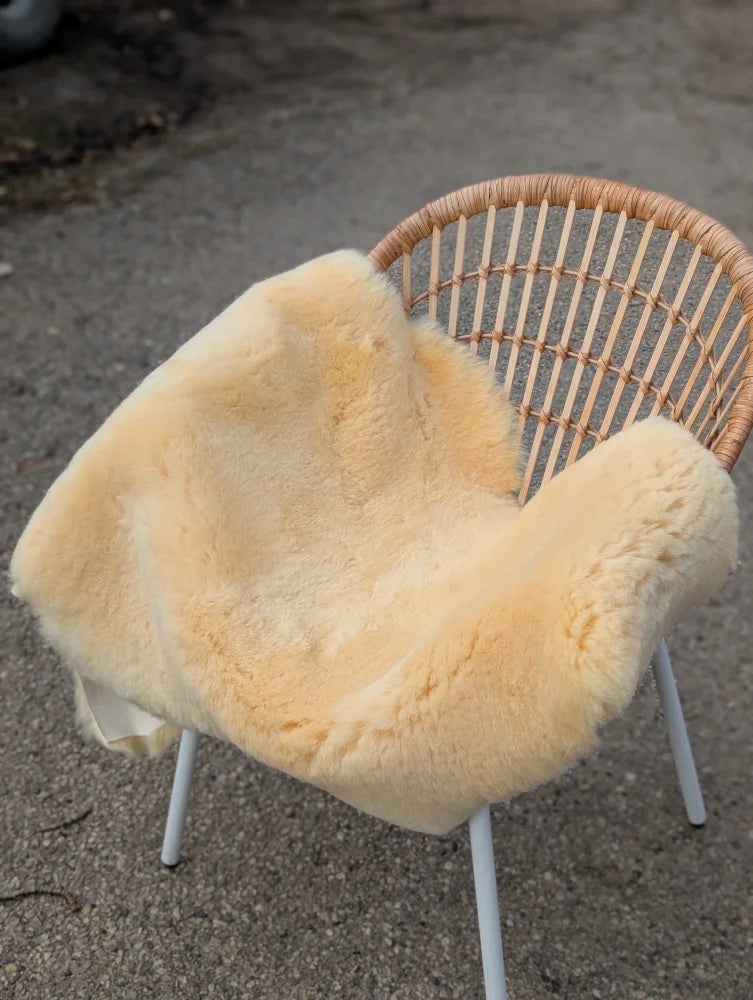 Cream-colored extra large washable medical sheepskin blanket draped over wicker chair naturally spotted and soft