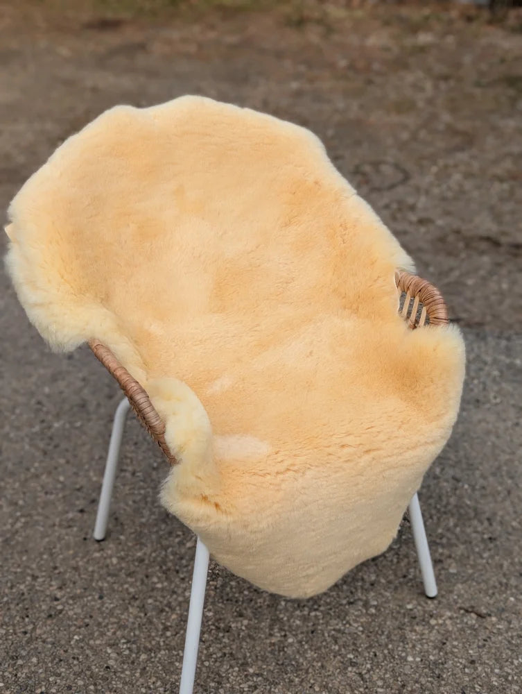 A cozy cream-colored extra large washable medical sheepskin draped over a modern wicker and metal chair