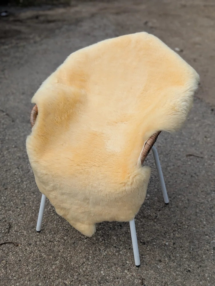 Cream-colored extra large washable medical sheepskin draped over a modern chair with white legs and wooden armrests