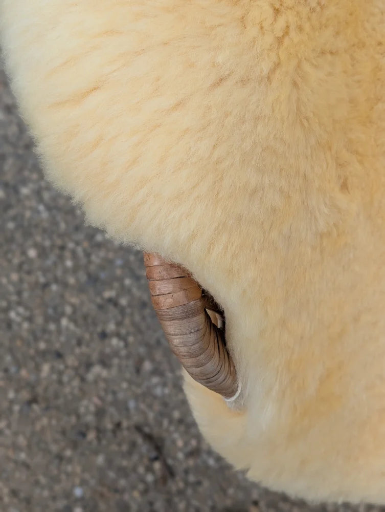 Close-up of a cream medical sheepskin with a curved natural horn showcasing ridges and wood tones for extra comfort